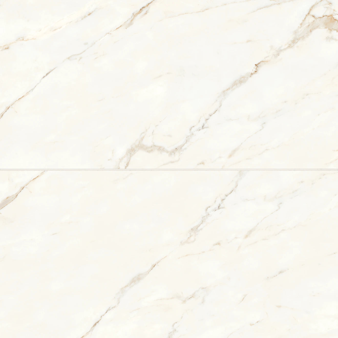 Magnifica "Era" 24" x 48" Field Tile