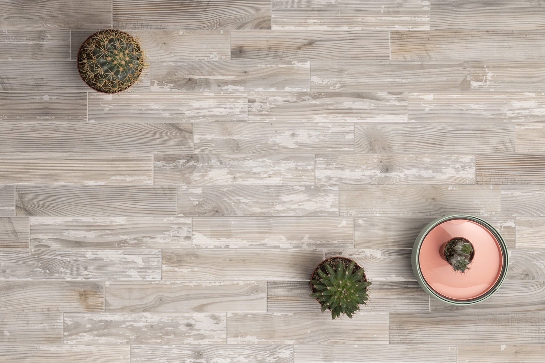 2-1/4" x 11-3/4" Floor tile in the color Brandi's Tan Isn't from The Sand. featuring a cactus in top left corner, and two cacti in bottom right corner.