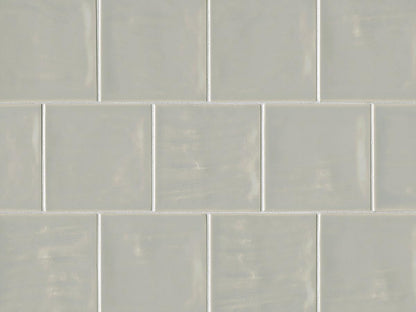 Tongue in Chic 5" x 5" Gloss Wall Tile