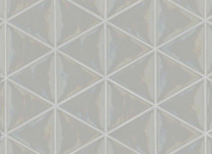 Tongue in Chic Triangle Wall Tile