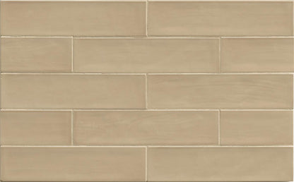 Tongue in Chic 2.5" x 10.5" Non-Metallic Gloss Wall Tile