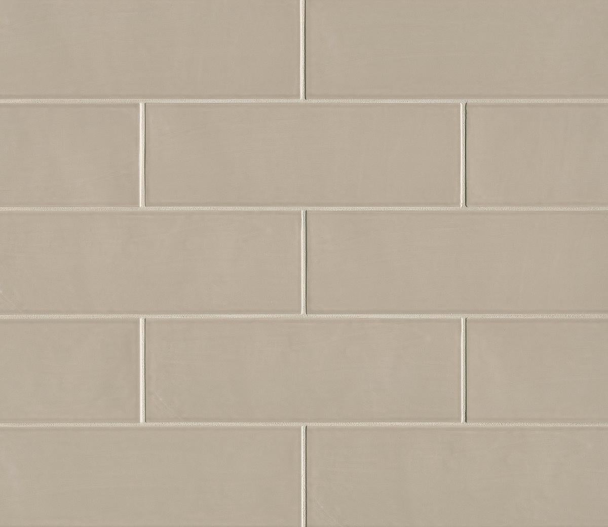 Tongue in Chic 5" x 16" Gloss Wall Tile