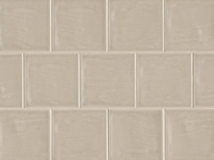 Tongue in Chic 5" x 5" Gloss Wall Tile