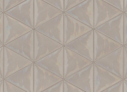 Tongue in Chic Triangle Wall Tile