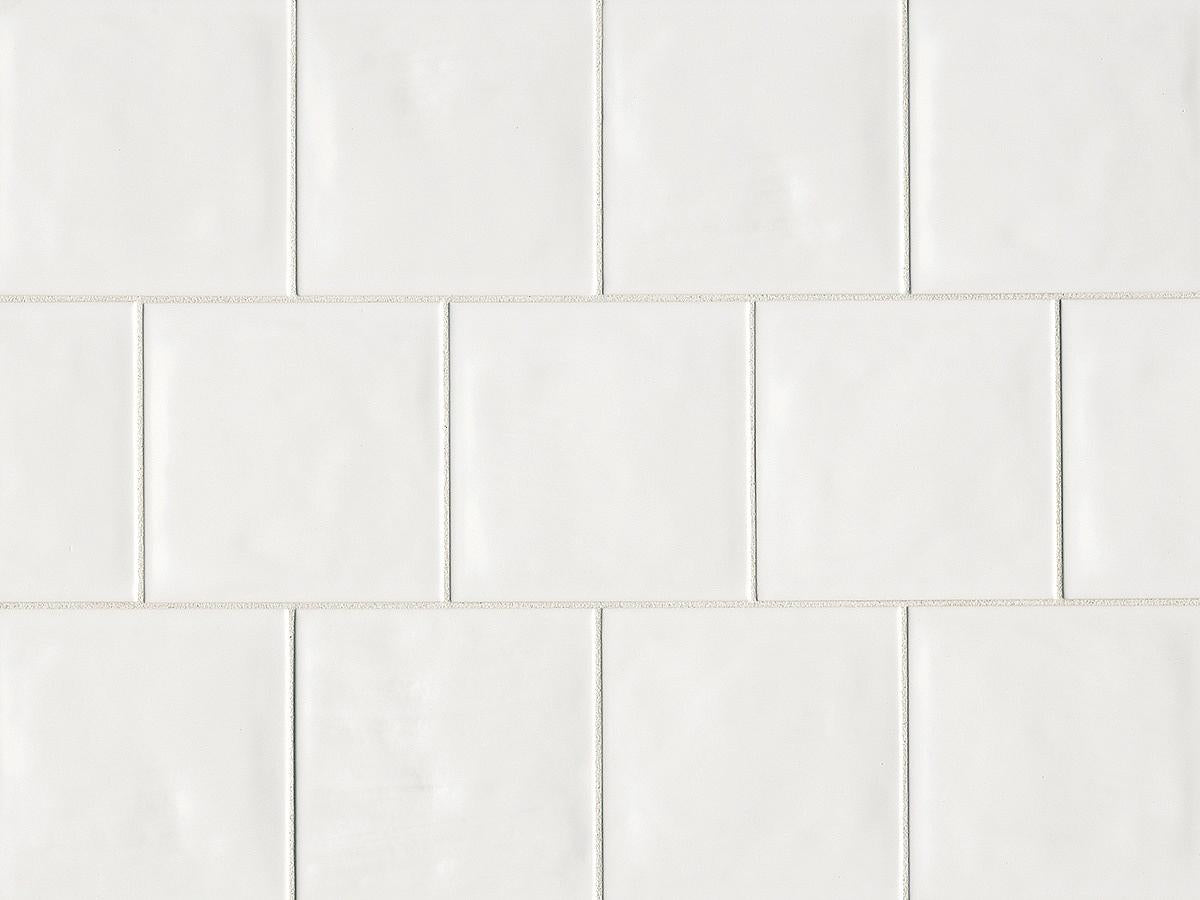 Tongue in Chic 5" x 5" Gloss Wall Tile