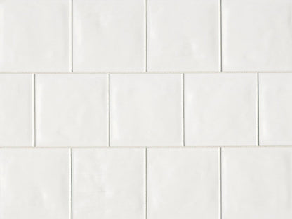 Tongue in Chic 5" x 5" Matte Wall Tile