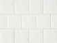 Tongue in Chic 5" x 5" Gloss Wall Tile