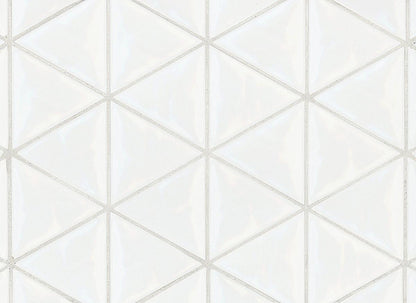 Tongue in Chic Triangle Wall Tile