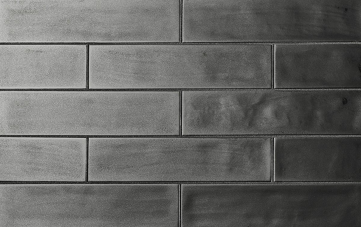 Tongue in Chic 2.5" x 10.5" Metallic Wall Tile