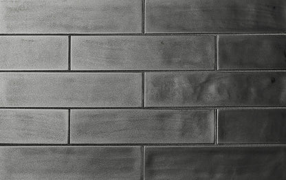 Tongue in Chic 2.5" x 10.5" Metallic Wall Tile