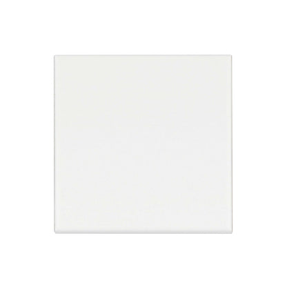 Traditions 6" x 6" Bullnose Trim Tile