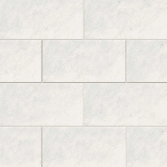 Iceberg White Wall & Floor 12" x 24" Tile